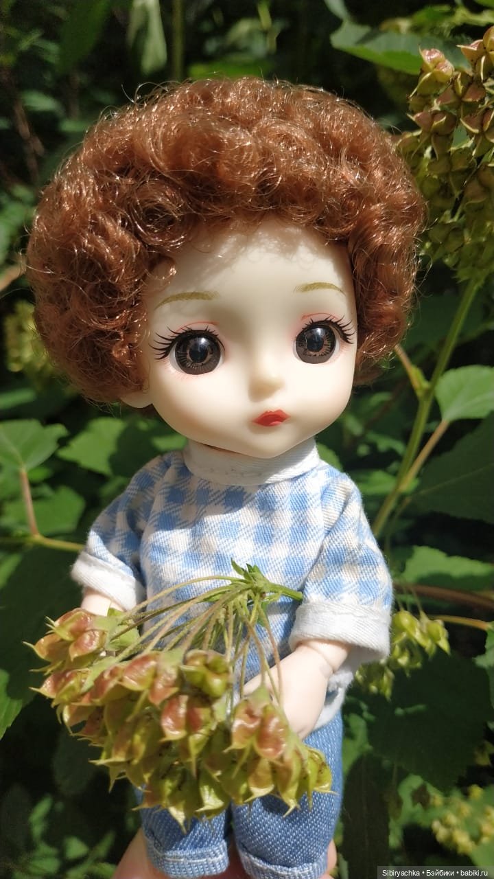 Коленька и Василёк изучают растения (фото 9)