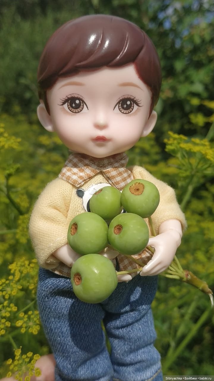 Коленька и Василёк изучают растения