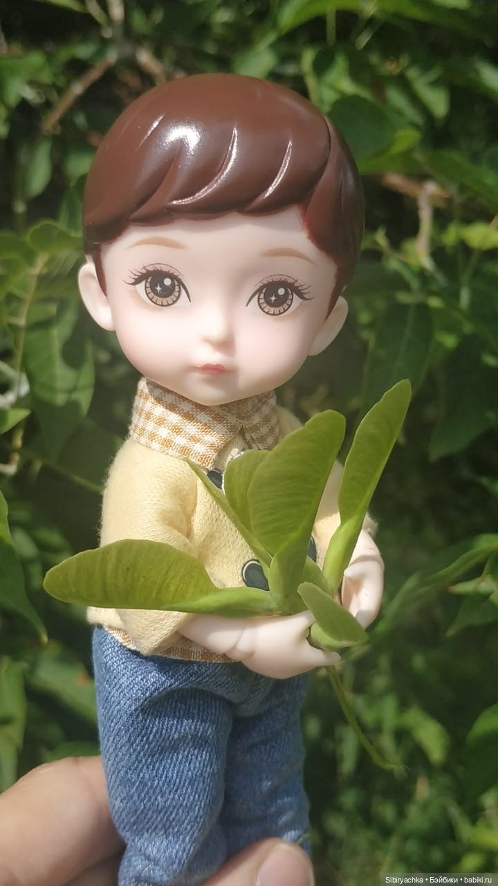 Коленька и Василёк изучают растения