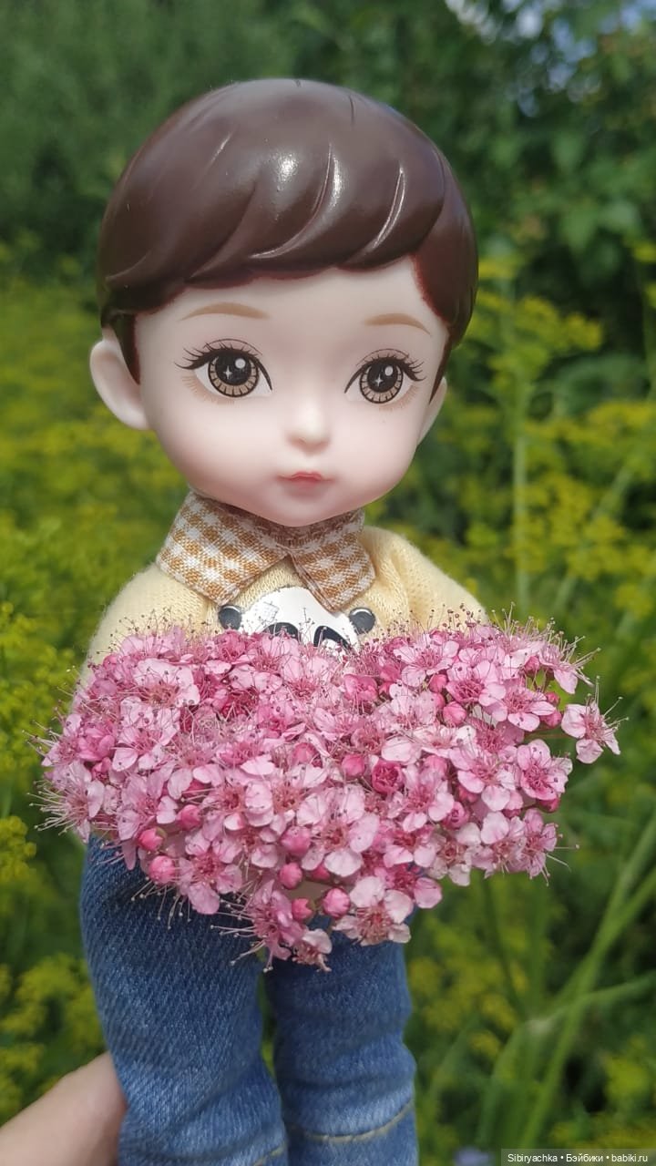 Коленька и Василёк изучают растения