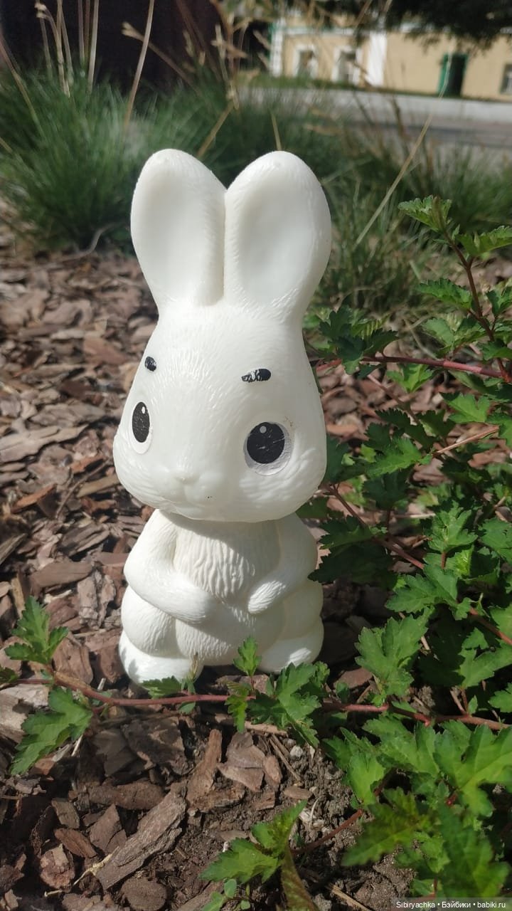 Летняя прогулка лучших друзей