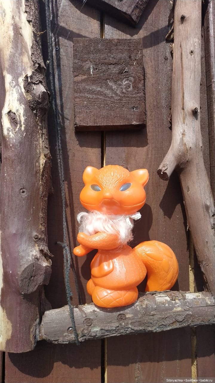 Летняя прогулка лучших друзей (фото 5)