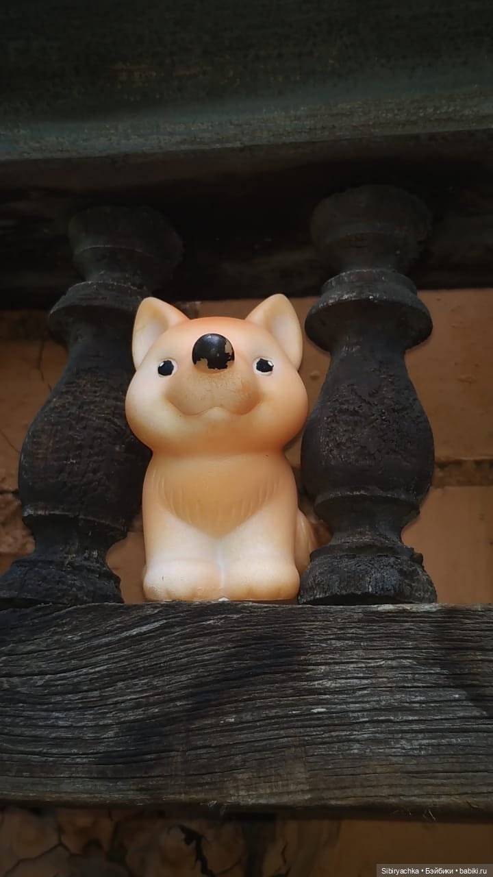 Летняя прогулка лучших друзей