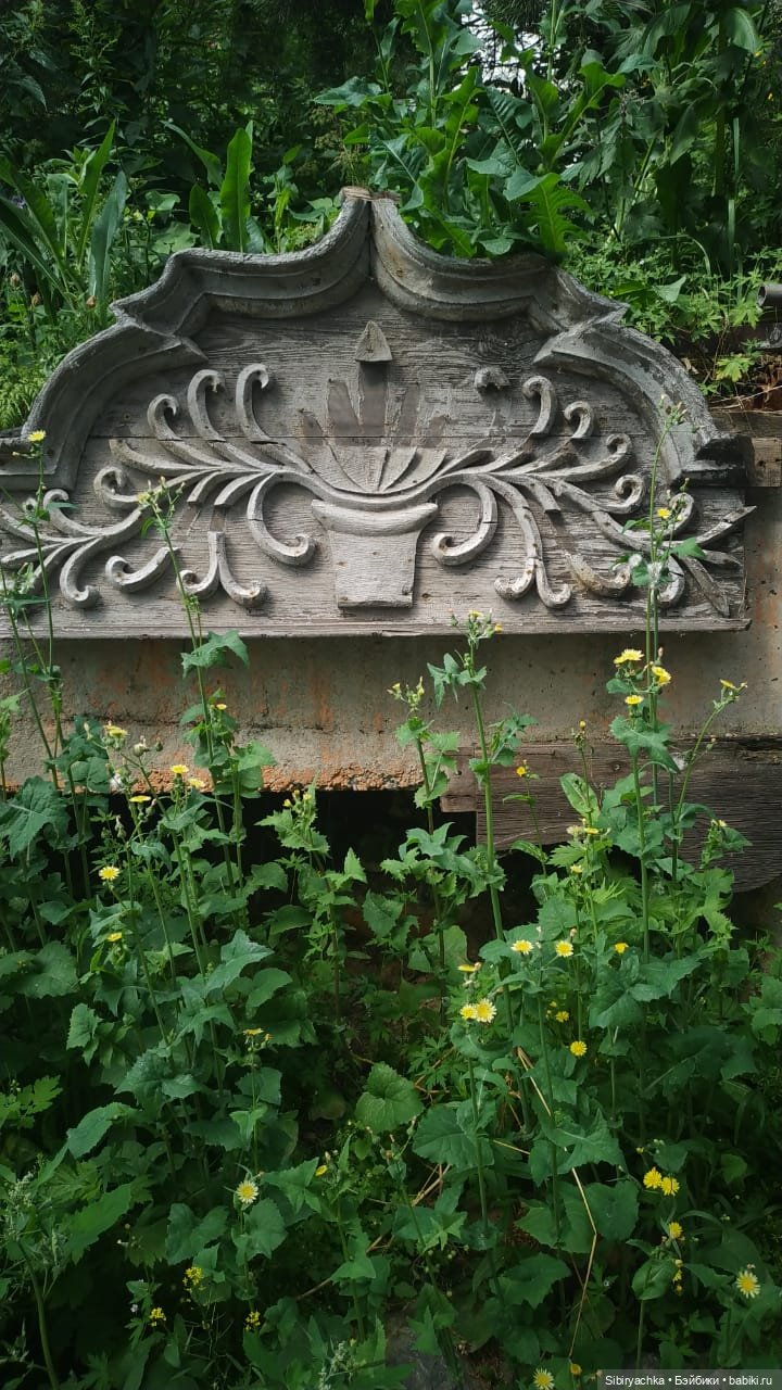 Летняя прогулка лучших друзей