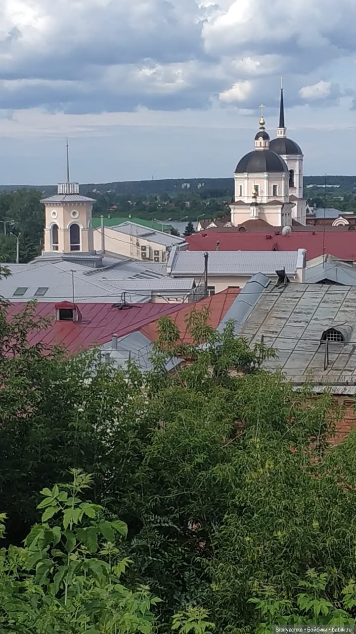 Летняя прогулка лучших друзей