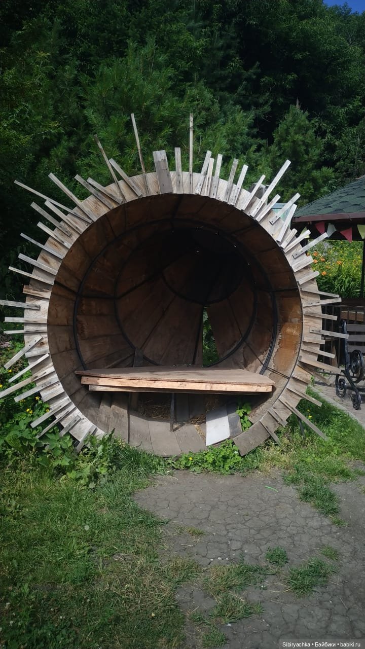 Летняя прогулка лучших друзей