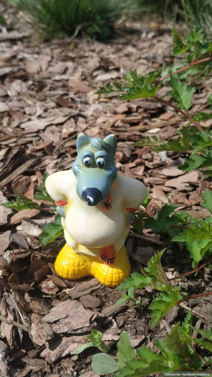 Летняя прогулка лучших друзей