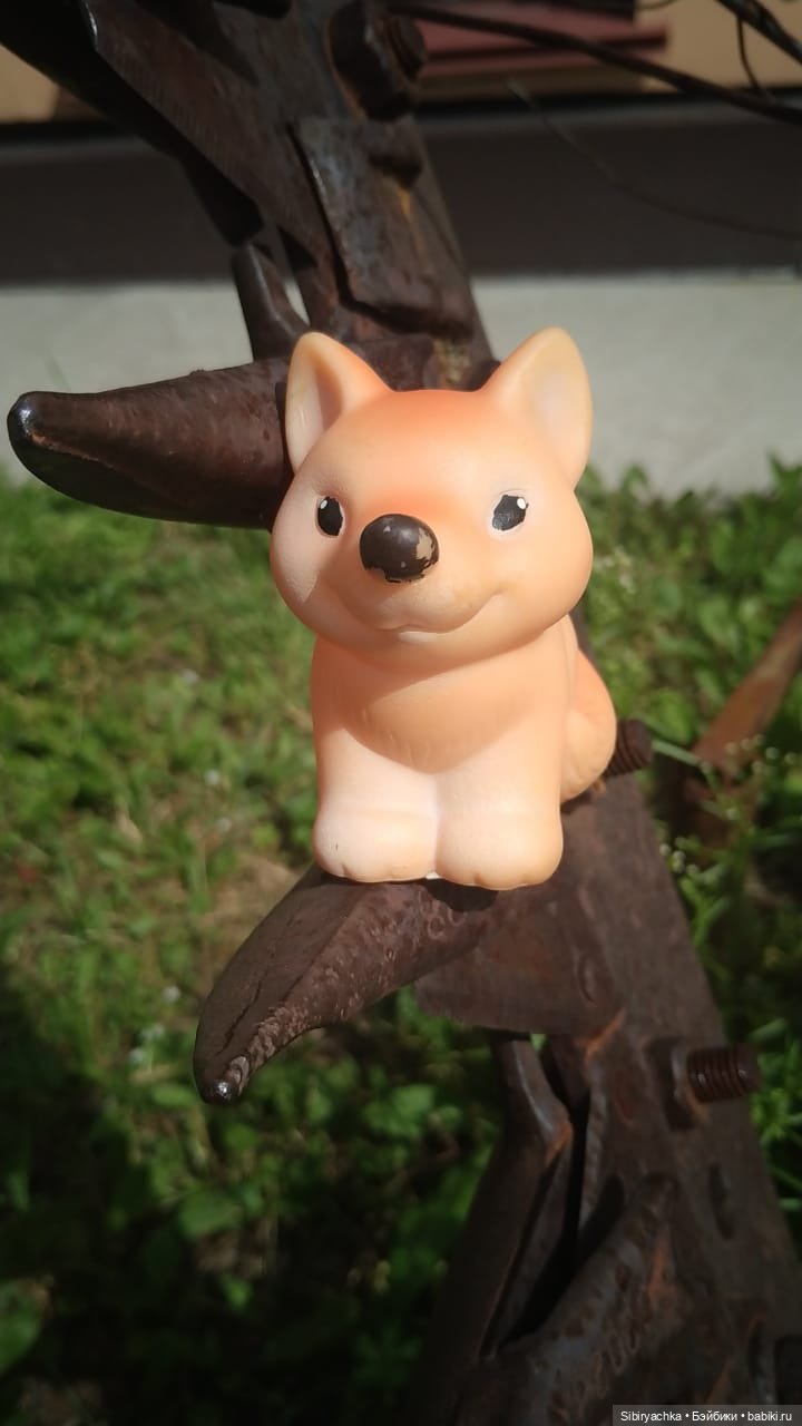 Летняя прогулка лучших друзей