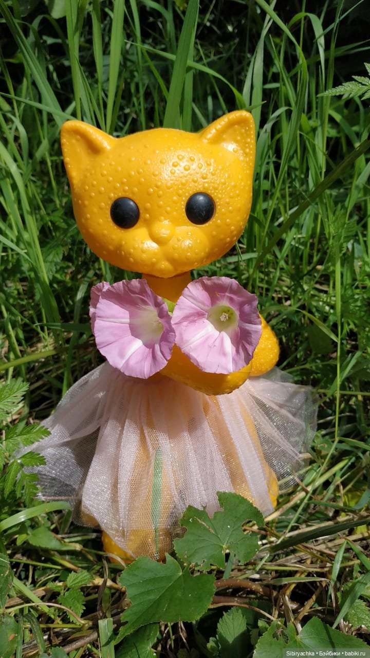 Кошечка Мурочка радуется лету и теплу