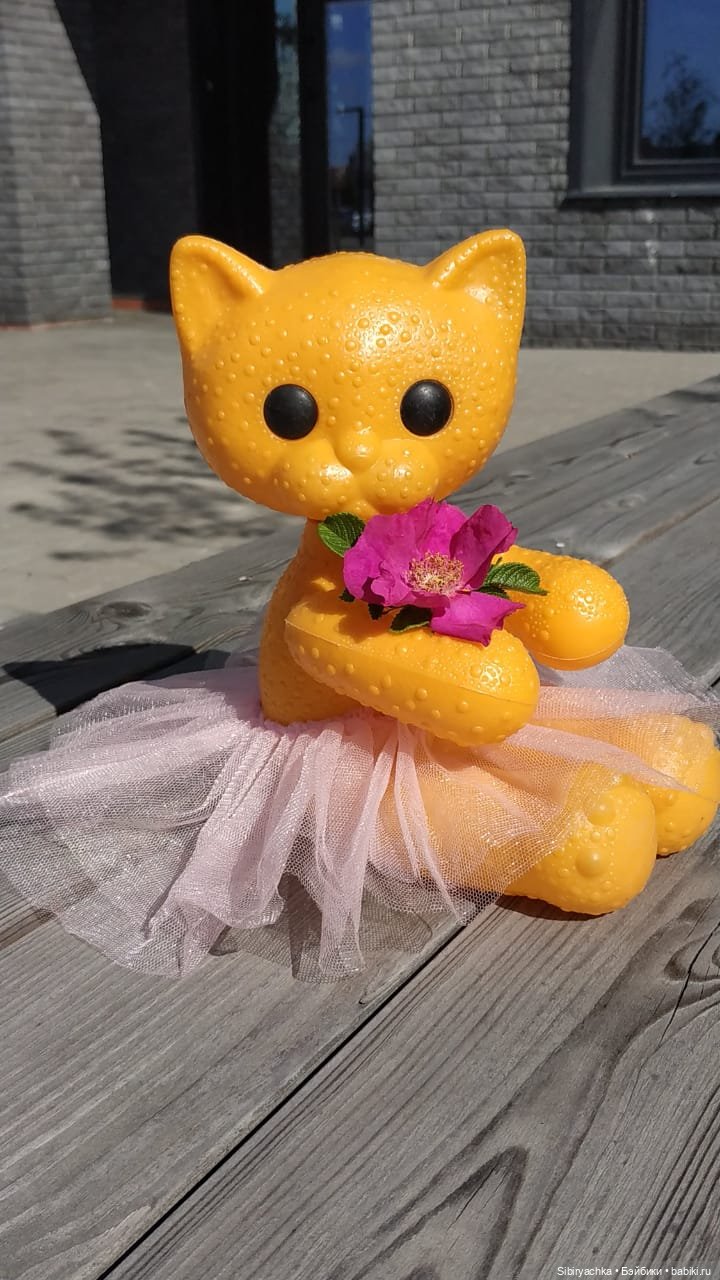 Кошечка Мурочка радуется лету и теплу (фото 7)