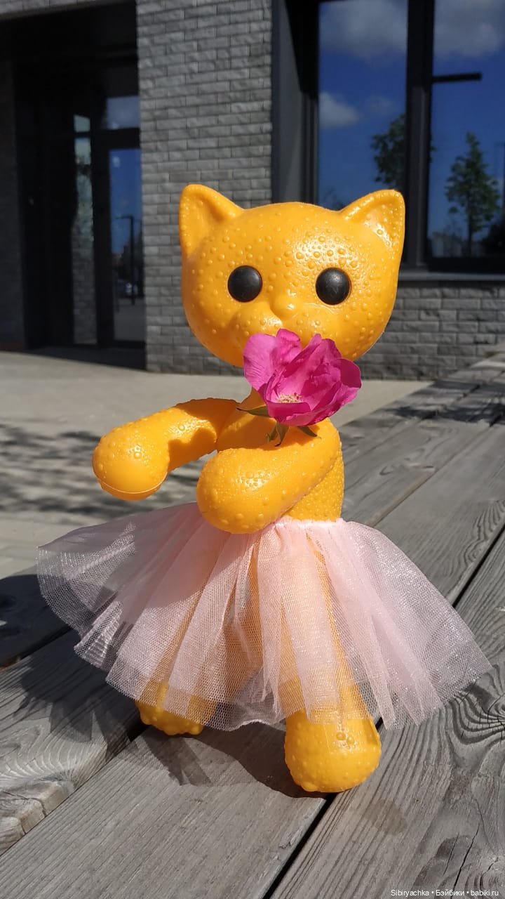 Кошечка Мурочка радуется лету и теплу (фото 5)