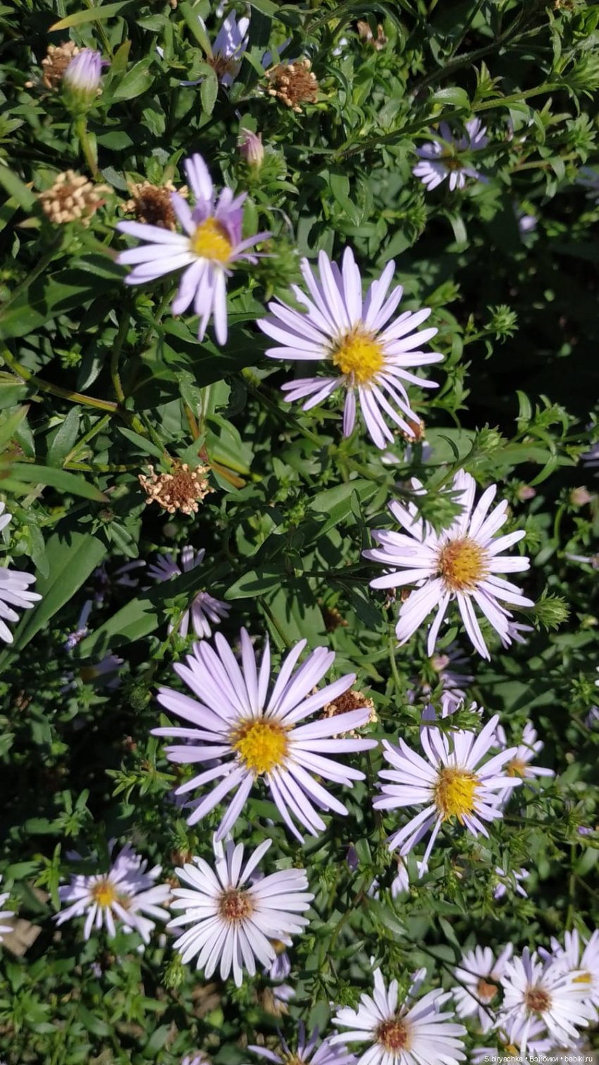 Деревня "Радость" — Игрушки СССР и советского детства: резиновые