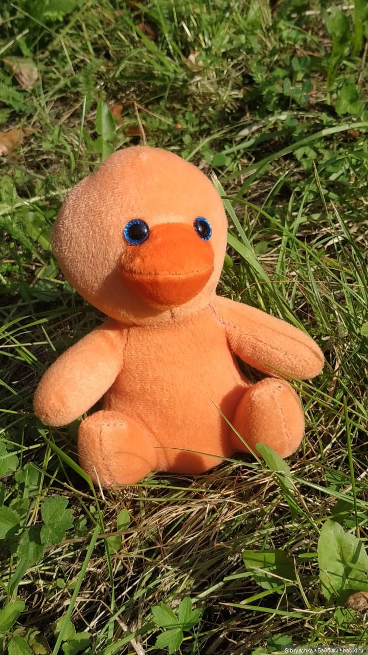 Рыжая история или новый член лисьей семьи