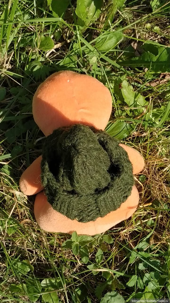 Рыжая история или новый член лисьей семьи