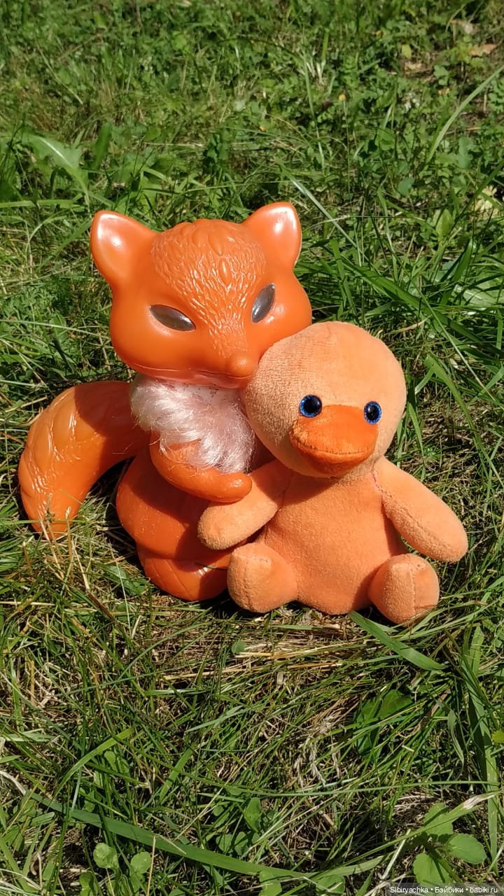 Рыжая история или новый член лисьей семьи