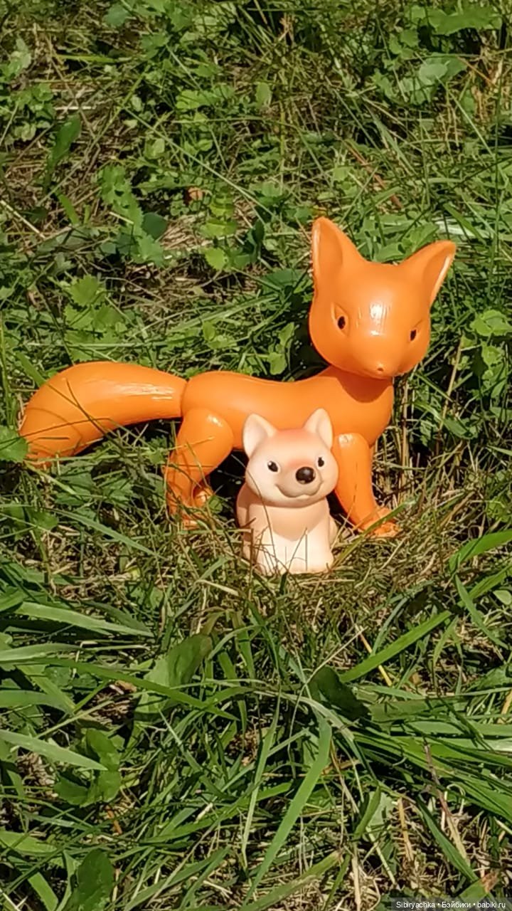 Рыжая история или новый член лисьей семьи