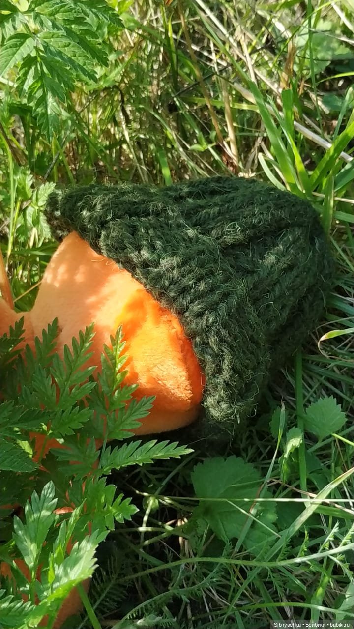 Рыжая история или новый член лисьей семьи