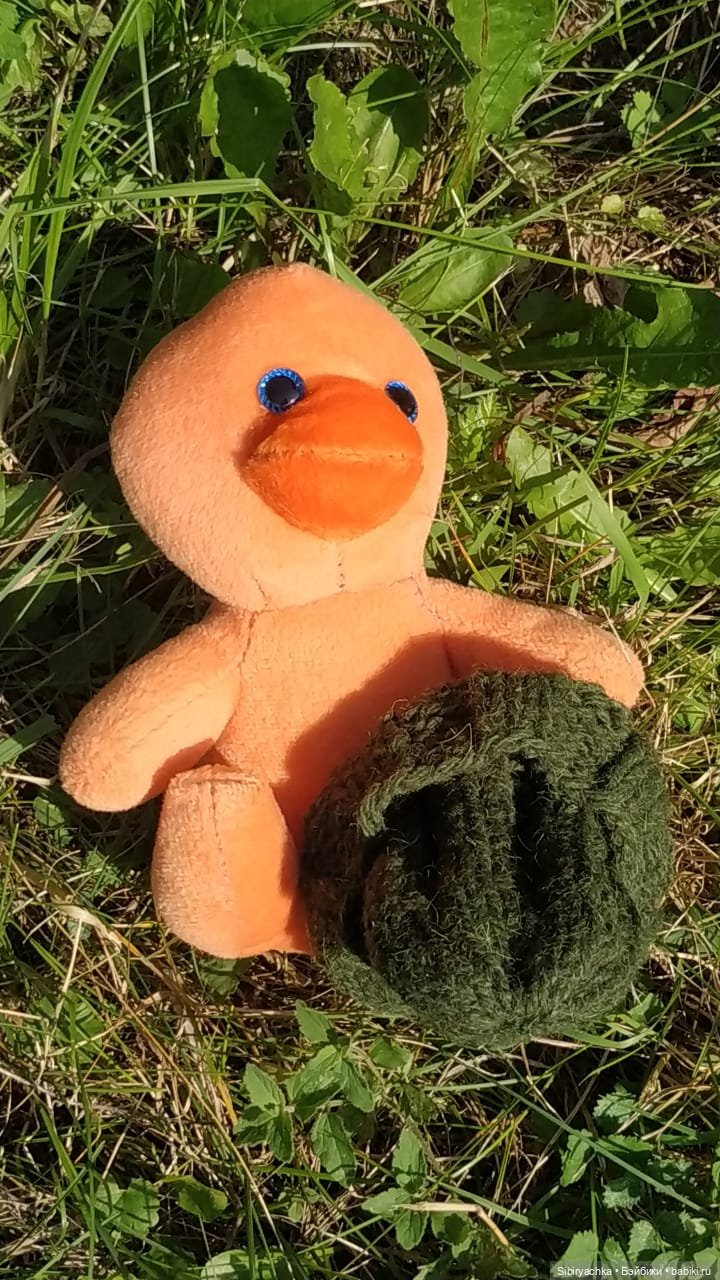 Рыжая история или новый член лисьей семьи