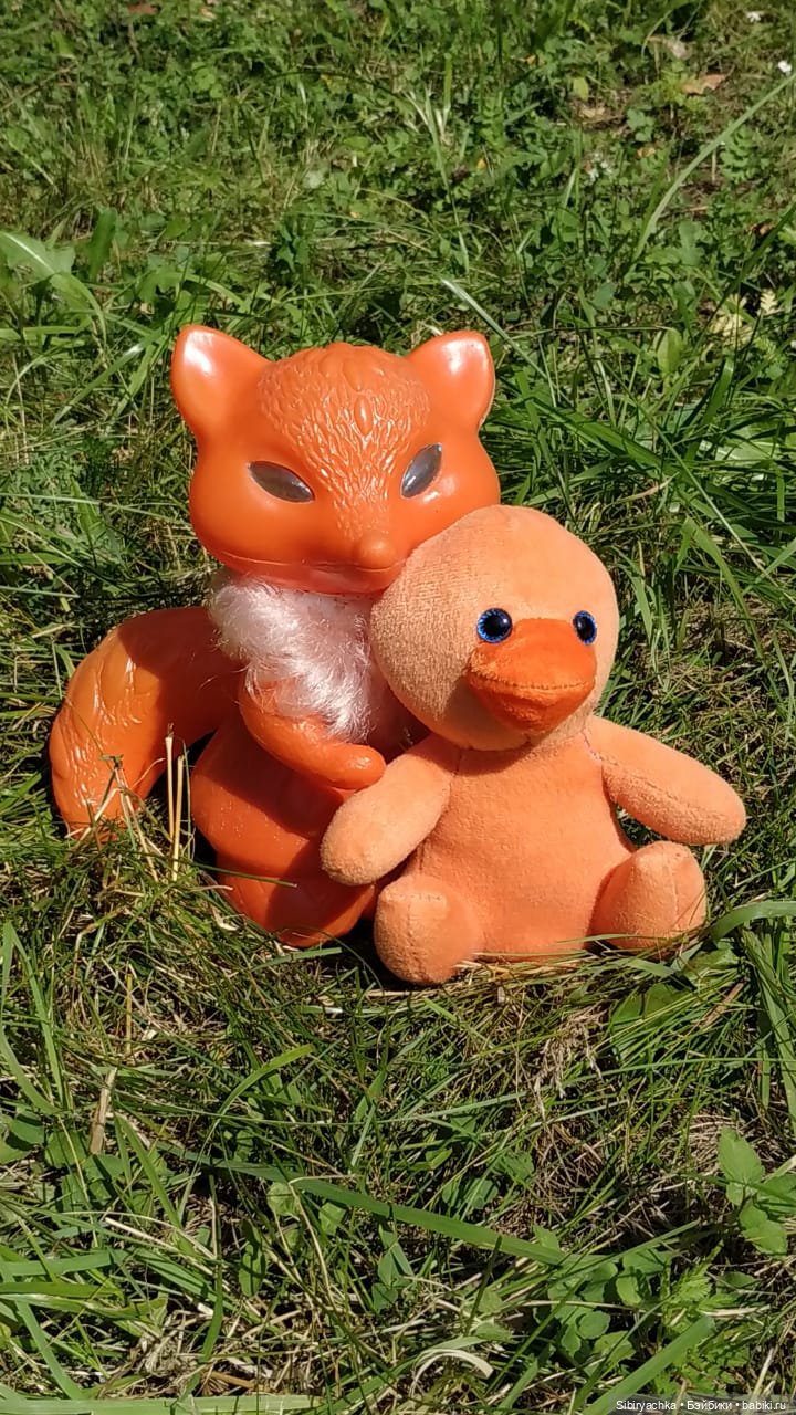 Рыжая история или новый член лисьей семьи