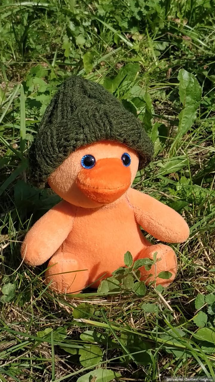 Рыжая история или новый член лисьей семьи