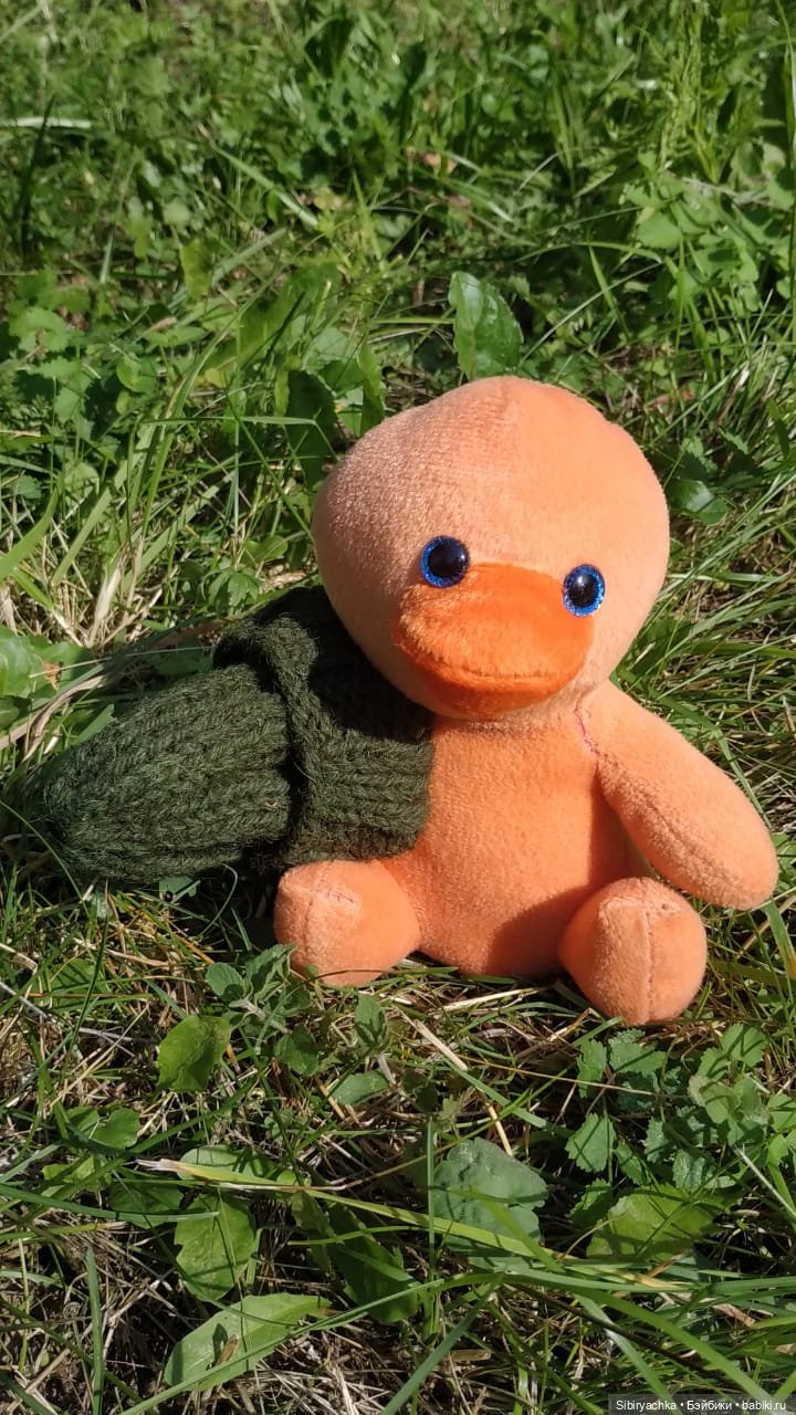 Рыжая история или новый член лисьей семьи