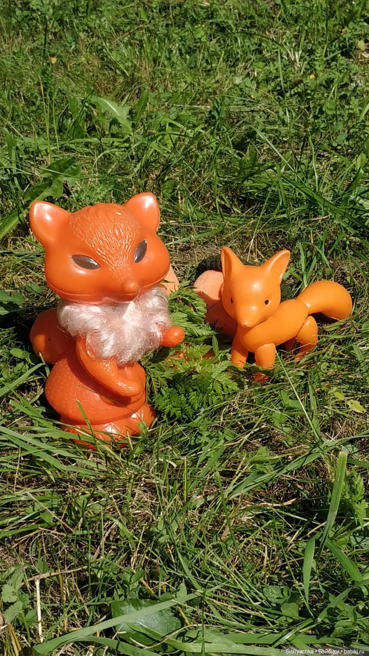 Рыжая история или новый член лисьей семьи