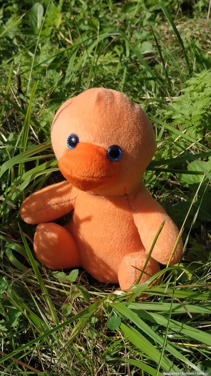 Рыжая история или новый член лисьей семьи