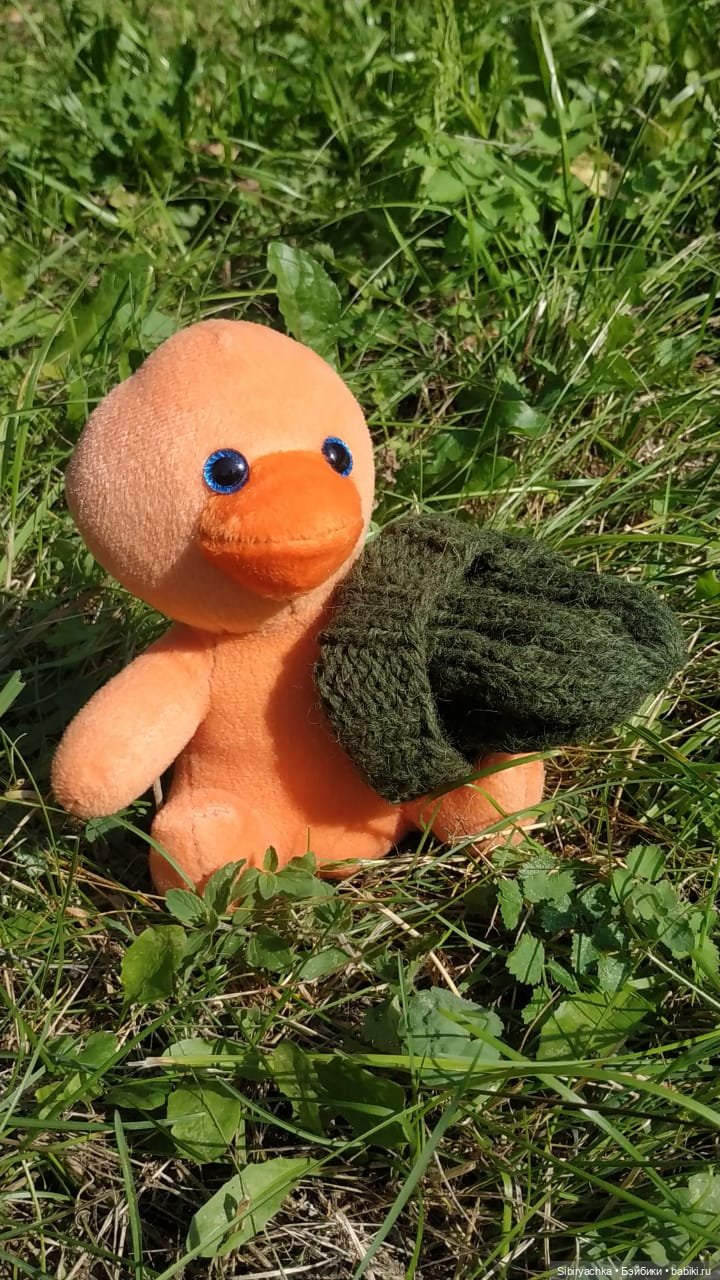 Рыжая история или новый член лисьей семьи