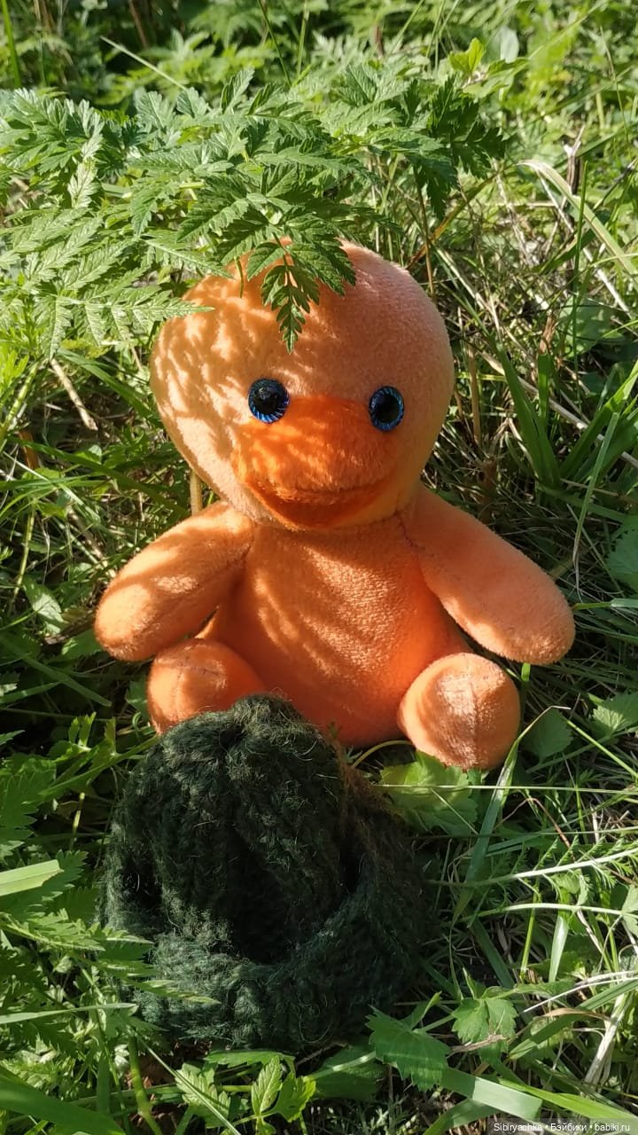 Рыжая история или новый член лисьей семьи