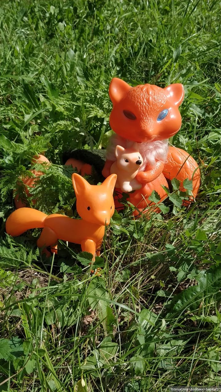 Рыжая история или новый член лисьей семьи