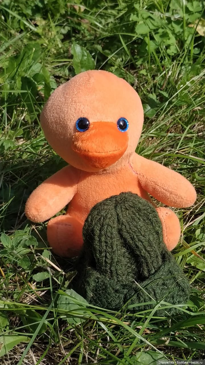 Рыжая история или новый член лисьей семьи