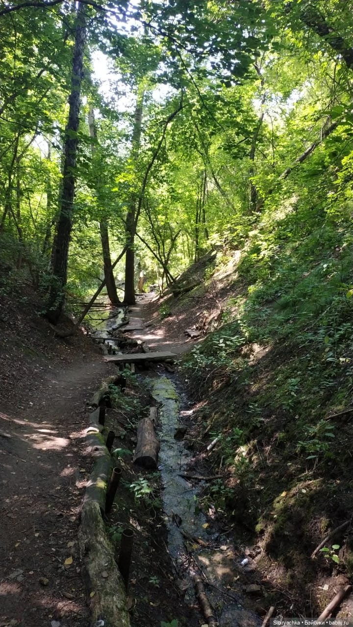 Рыжая история или новый член лисьей семьи