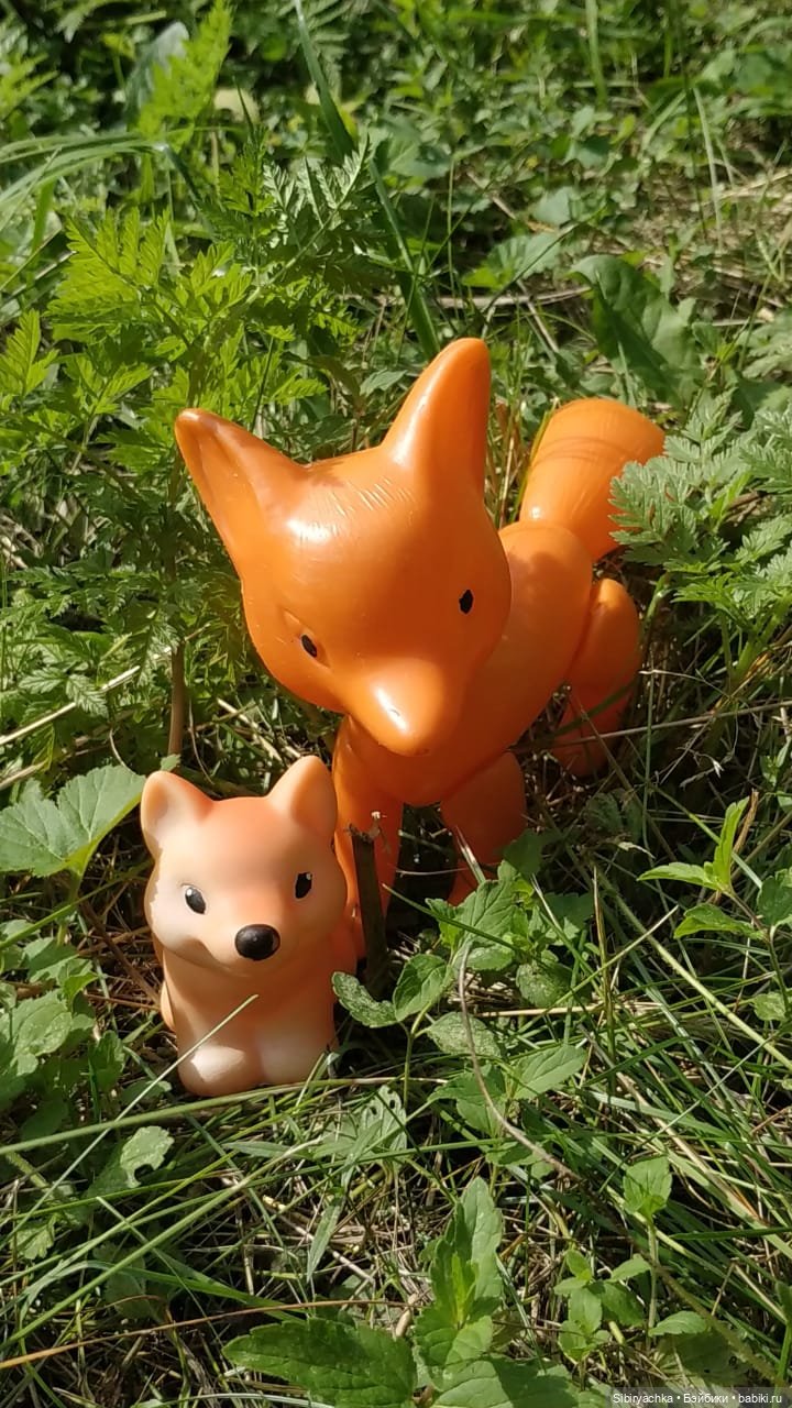 Рыжая история или новый член лисьей семьи