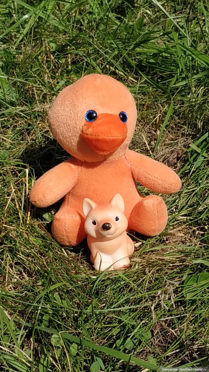 Рыжая история или новый член лисьей семьи