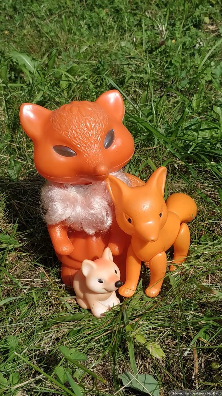 Рыжая история или новый член лисьей семьи