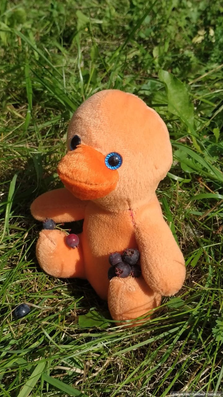 Рыжая история или новый член лисьей семьи (фото 7)