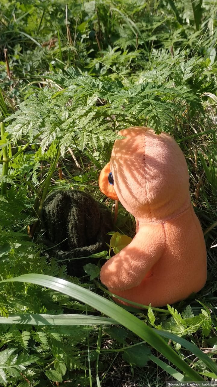 Рыжая история или новый член лисьей семьи