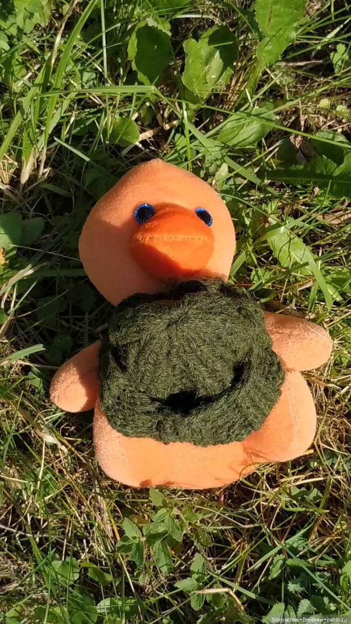 Рыжая история или новый член лисьей семьи