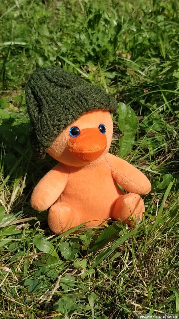 Рыжая история или новый член лисьей семьи