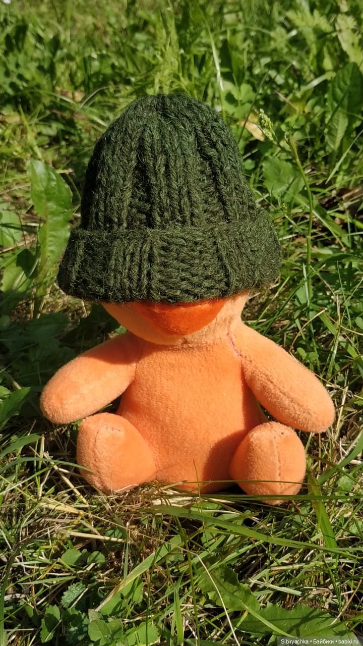 Рыжая история или новый член лисьей семьи