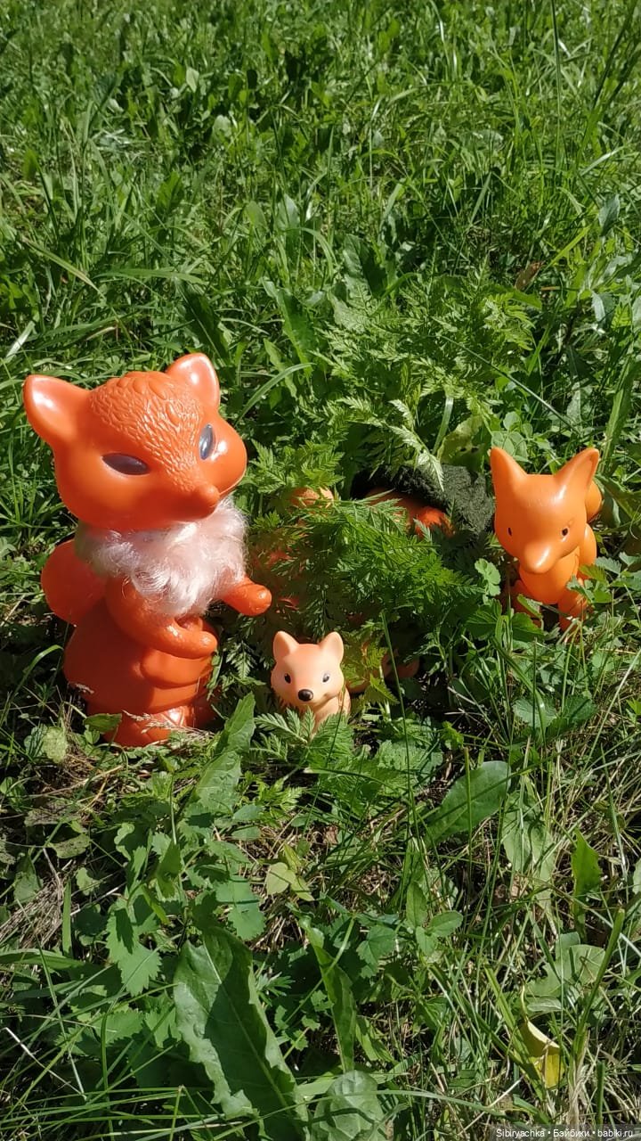 Рыжая история или новый член лисьей семьи