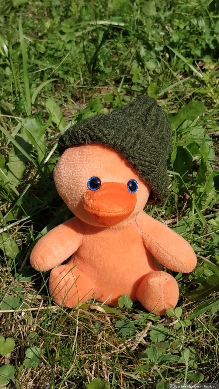 Рыжая история или новый член лисьей семьи