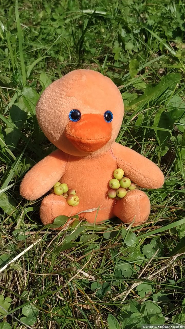 Рыжая история или новый член лисьей семьи