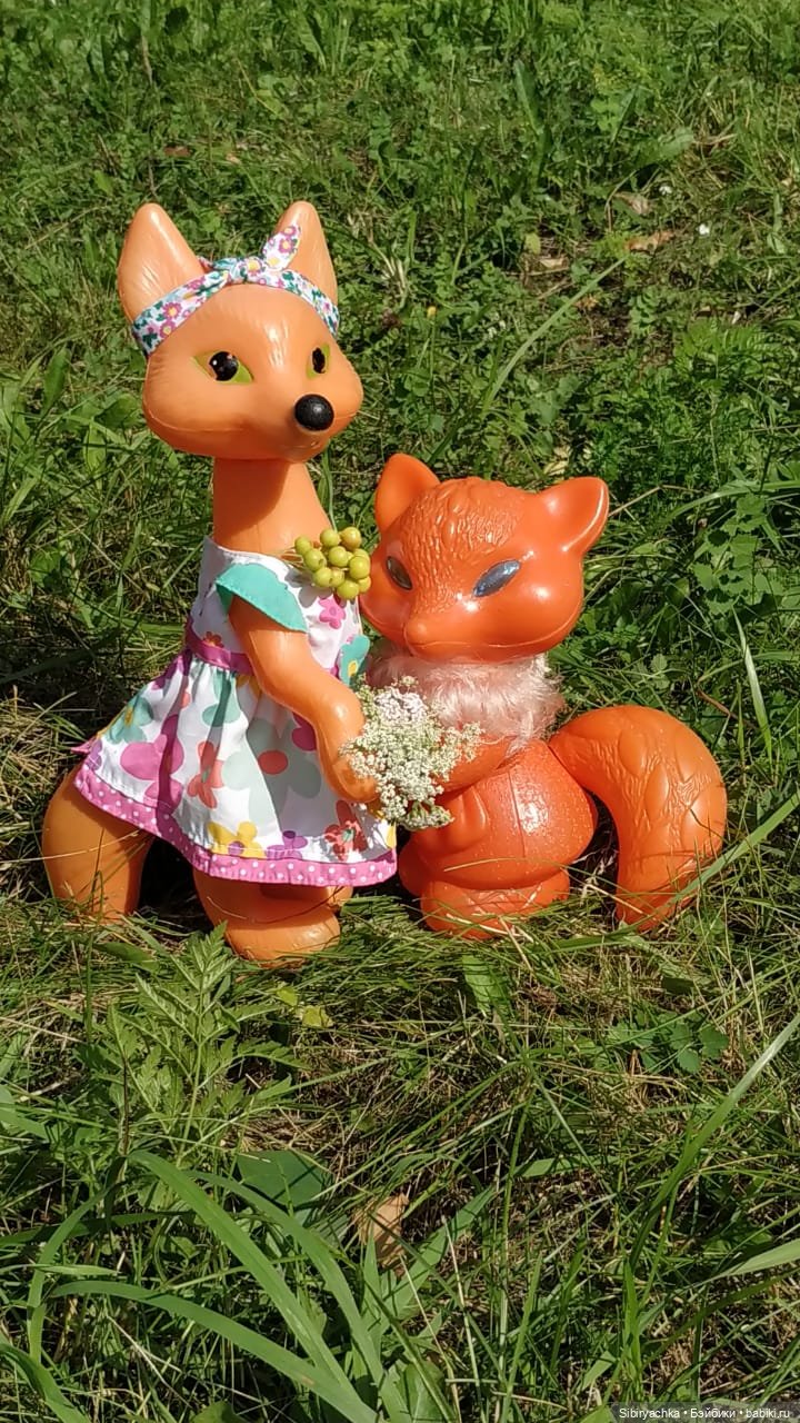 Рыжая история или новый член лисьей семьи