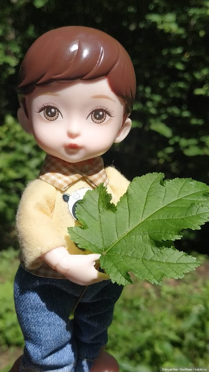 Биологические открытия Коленьки