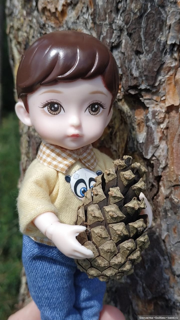 Биологические открытия Коленьки