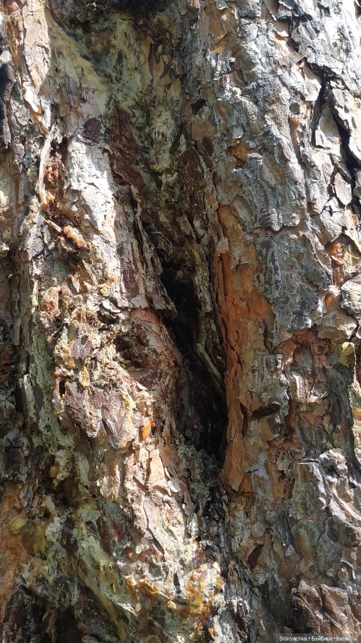 Биологические открытия Коленьки