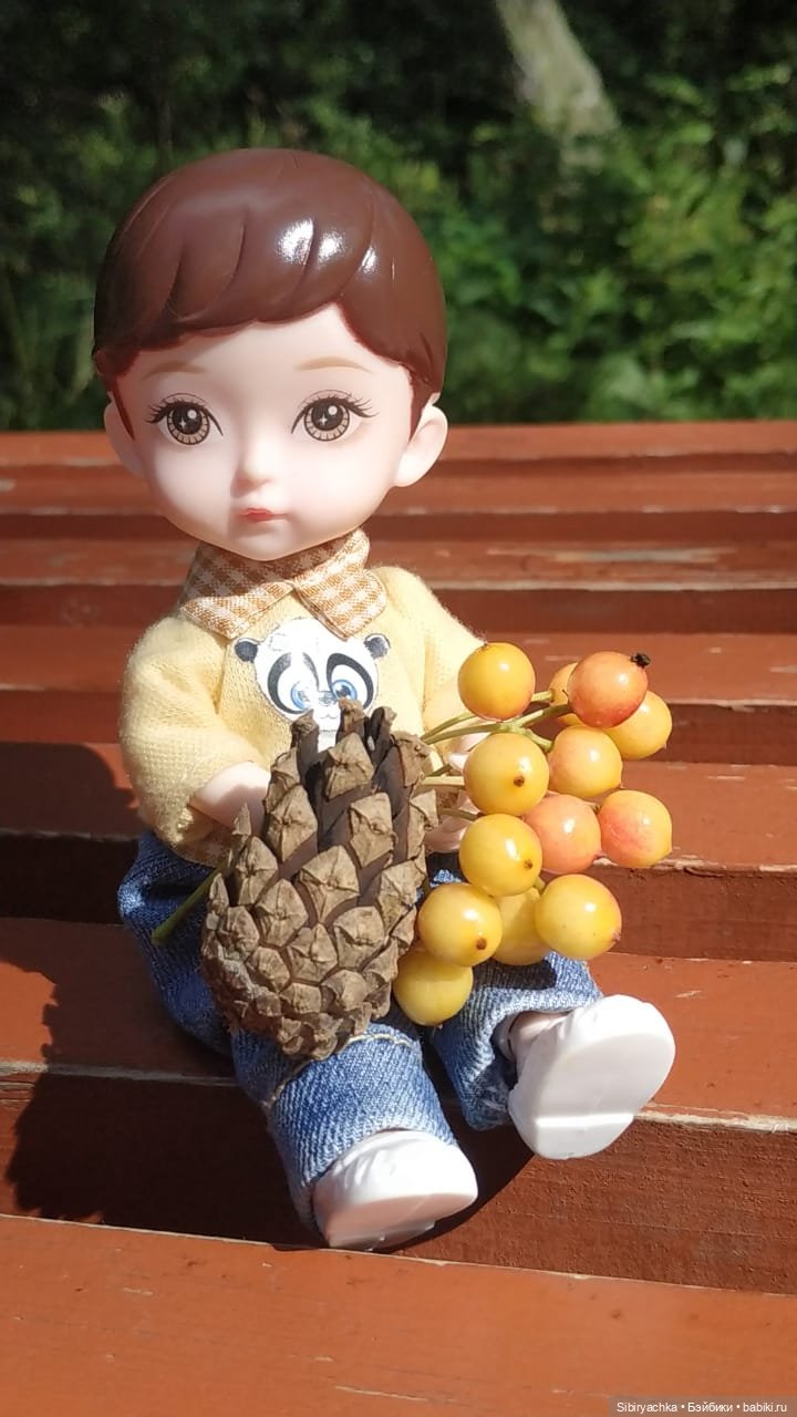 Биологические открытия Коленьки