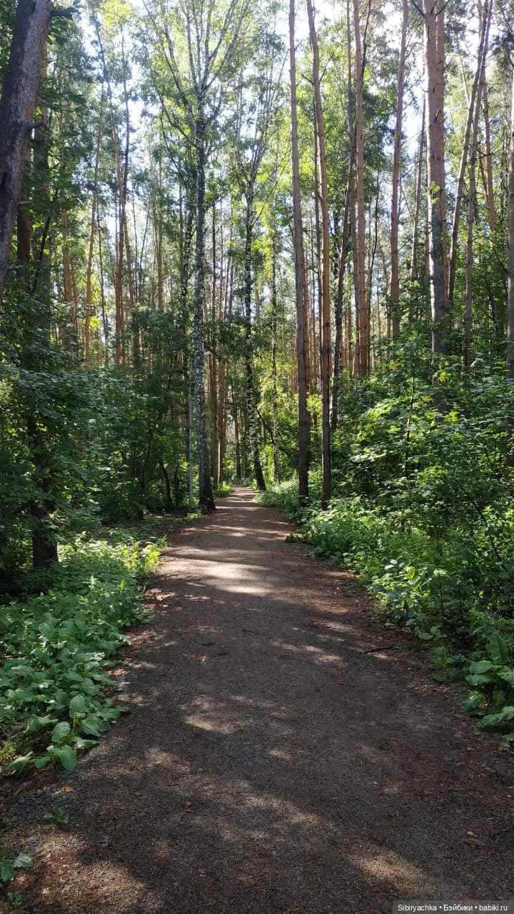 Биологические открытия Коленьки