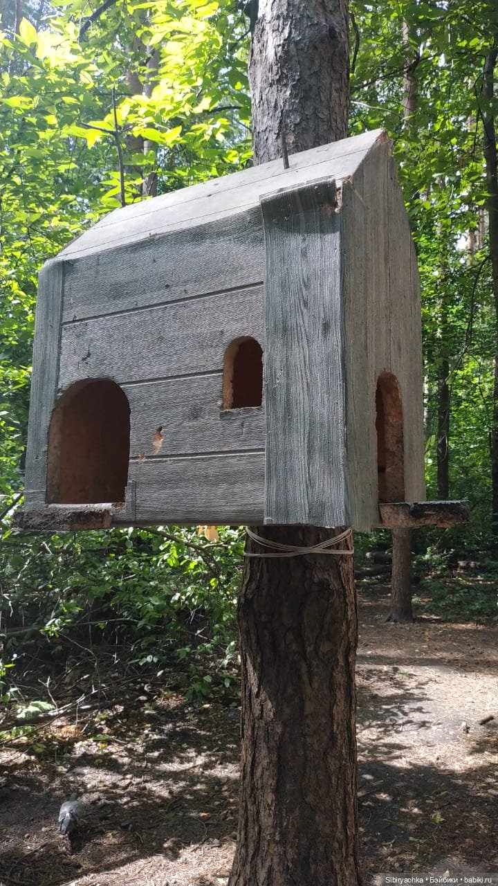 Биологические открытия Коленьки